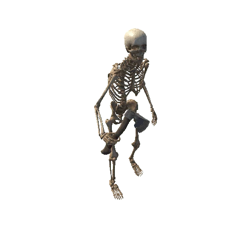 Skeleton 5